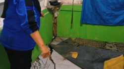 47 Rumah Warga di Tasikmalaya Terancam Pergeseran Tanah