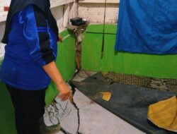 47 Rumah Warga di Tasikmalaya Terancam Pergeseran Tanah