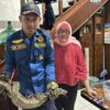 Seekor Biawak Bikin Heboh Warga Tasik