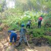 Akses Jalan Sukarame-Tanjungjaya Lumpuh Total Akibat Longsor Tebing 30 Meter