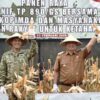 Panen Raya Jagung Sinergi Bupati Garut dan TNI AD Perkuat Ketahanan Pangan