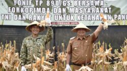 Panen Raya Jagung Sinergi Bupati Garut dan TNI AD Perkuat Ketahanan Pangan