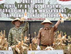 Panen Raya Jagung Sinergi Bupati Garut dan TNI AD Perkuat Ketahanan Pangan