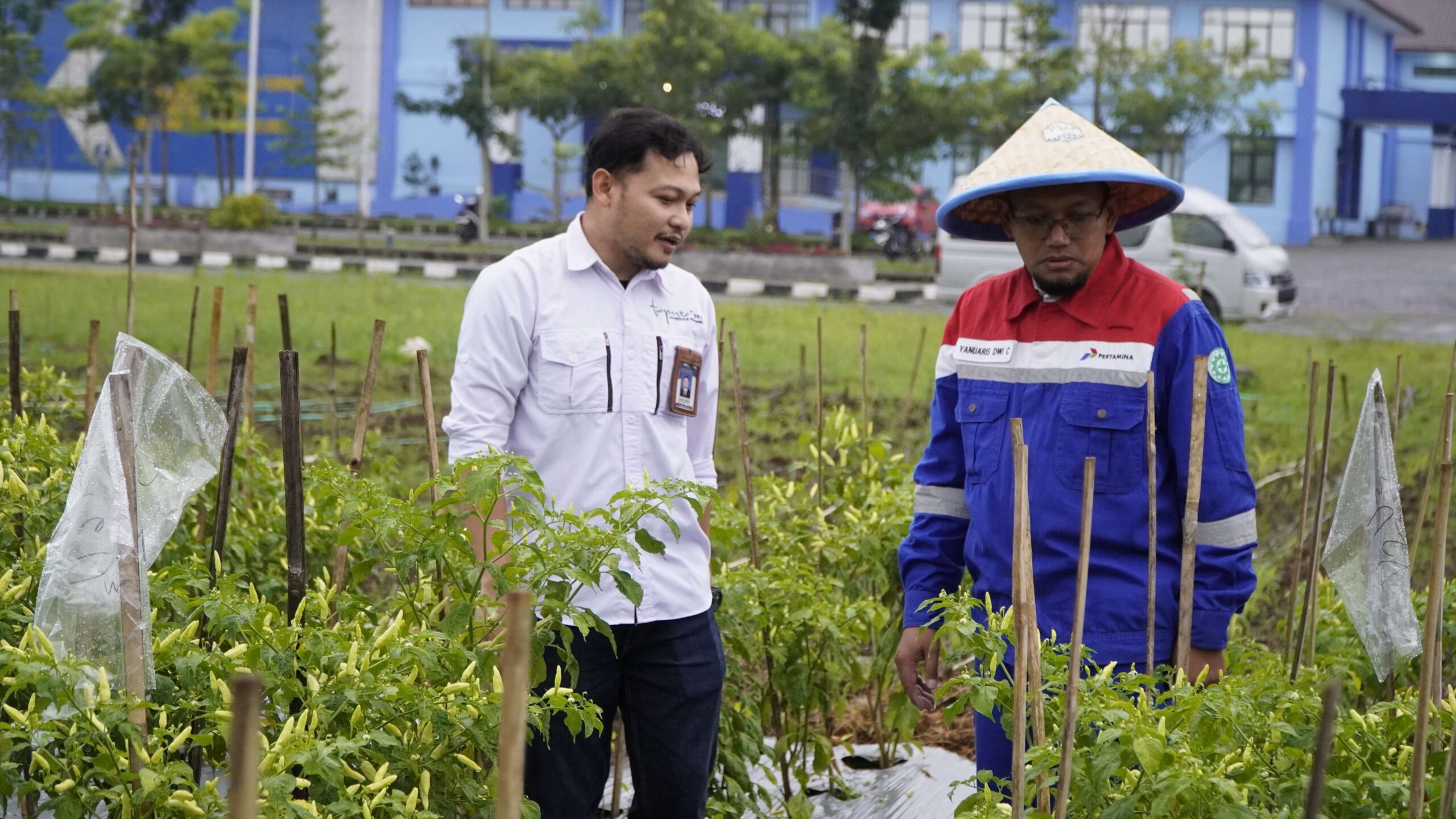 Bukan Hanya Listrik, PGE Karaha dan Unsil Ubah Produk Geothermal Jadi Pupuk Hijau