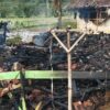 2 Rumah Warga Di Cigalontang Ludes Terbakar Saat Pemilik Tertidur Pulas