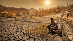 Waspada Anomali Suhu, BMKG Ungkap Daftar Wilayah Berpotensi Lebih Panas Sepanjang 2026