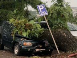 Diterjang Angin Kencang, 2 Mobil Warga Tasikmalaya Ringsek Tertimpa Pohon Besar di Cihideung