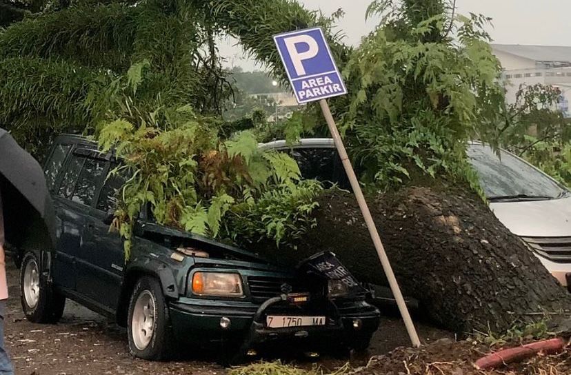 Diterjang Angin Kencang, 2 Mobil Warga Tasikmalaya Ringsek Tertimpa Pohon Besar di Cihideung