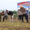 Polres Ciamis Gelar Penanaman Jagung Serentak 2026 di Lahan Baku Sawah Cikoneng