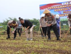Polres Ciamis Gelar Penanaman Jagung Serentak 2026 di Lahan Baku Sawah Cikoneng
