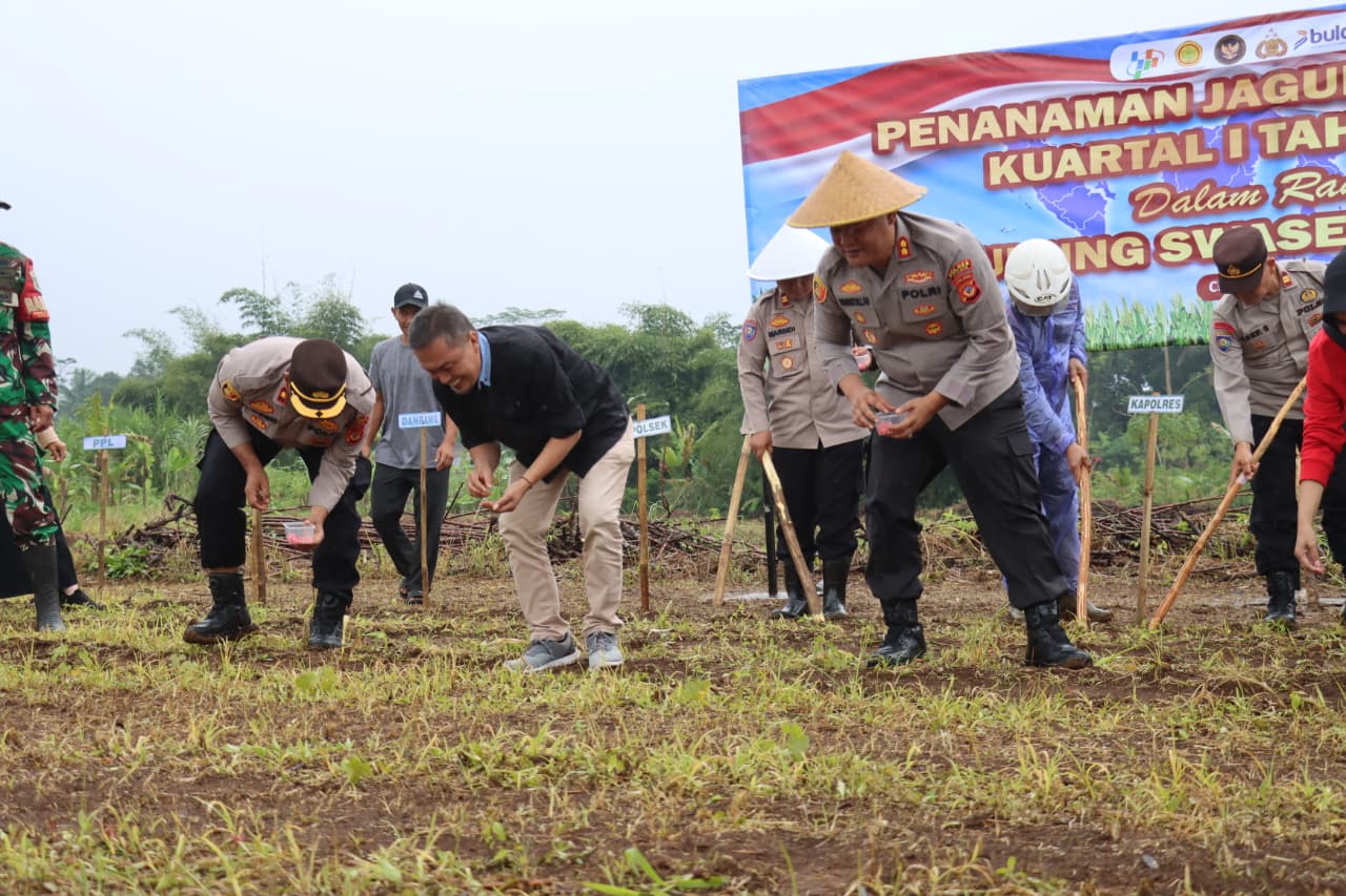 Polres Ciamis Gelar Penanaman Jagung Serentak 2026 di Lahan Baku Sawah Cikoneng