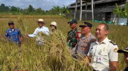 Wakil Bupati Tasikmalaya Apresiasi Semangat Petani Padi Organik di Manonjaya
