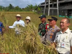 Wakil Bupati Tasikmalaya Apresiasi Semangat Petani Padi Organik di Manonjaya