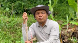 Waspada Cuaca Ekstrem, Wakil Bupati Tasikmalaya Galakkan Tanam Pohon Lewat Program ‘Tasik Hejo’