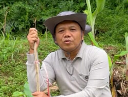 Waspada Cuaca Ekstrem, Wakil Bupati Tasikmalaya Galakkan Tanam Pohon Lewat Program ‘Tasik Hejo’