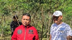 DPRD Dorong Pemanfaatan Indigofera di Kabupaten Tasikmalaya, Untuk Dongkrak PAD