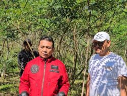 DPRD Dorong Pemanfaatan Indigofera di Kabupaten Tasikmalaya, Untuk Dongkrak PAD